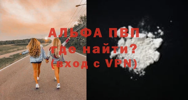 прущие грибы Беломорск