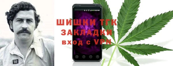 прущие грибы Беломорск