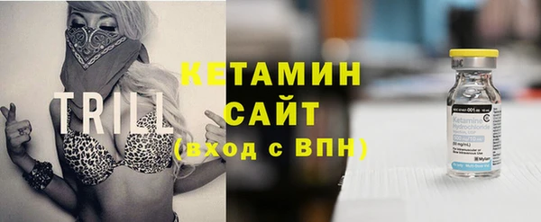 индика Богородицк