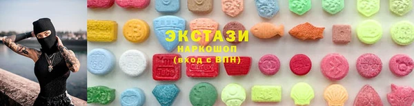 индика Богородицк