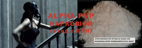 прущие грибы Беломорск