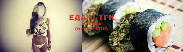 индика Богородицк