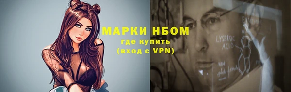 прущие грибы Беломорск