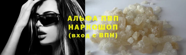 прущие грибы Беломорск