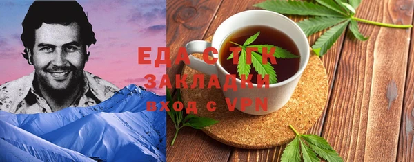 индика Богородицк