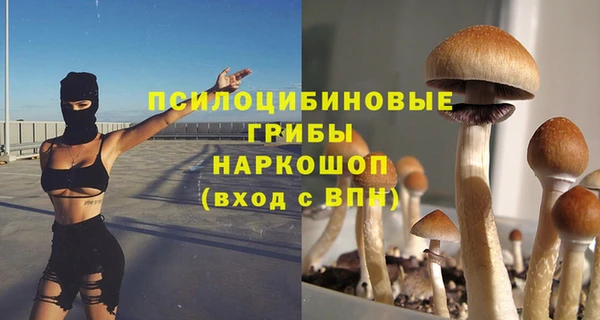 кристаллы Богородск