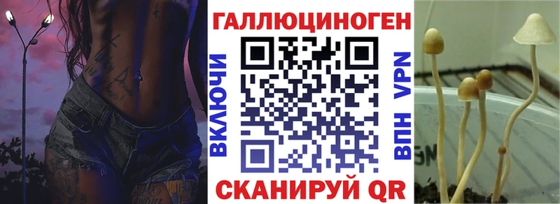 Галлюциногенные грибы GOLDEN TEACHER  Олёкминск 